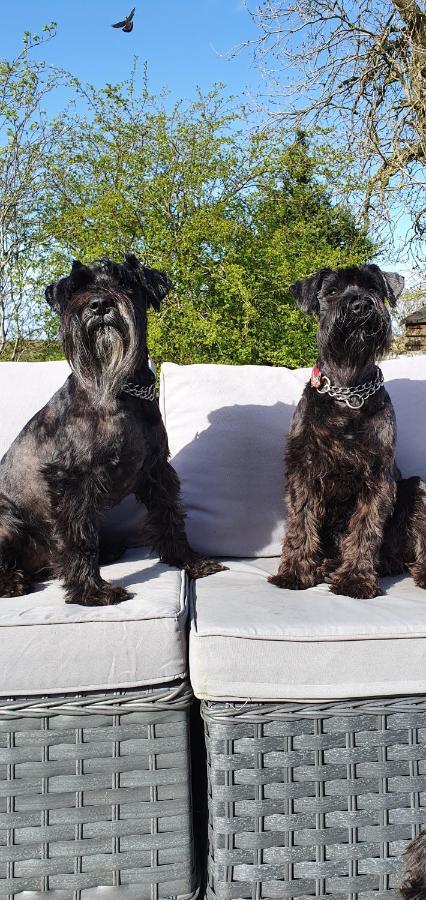 The Sleeping Dog Room At The Grumpy Schnauzer Bnb Huge Room, Luxe Suite, Private Hot Tub, Breakfast, Gym, Games Room, Farm Stay, Amazing แอร์ดรี ภายนอก รูปภาพ